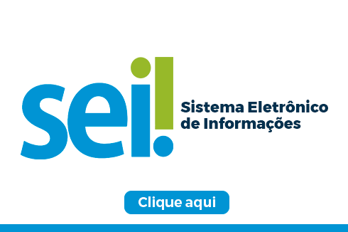 SEI